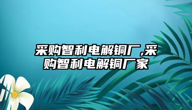 采購智利電解銅廠,采購智利電解銅廠家