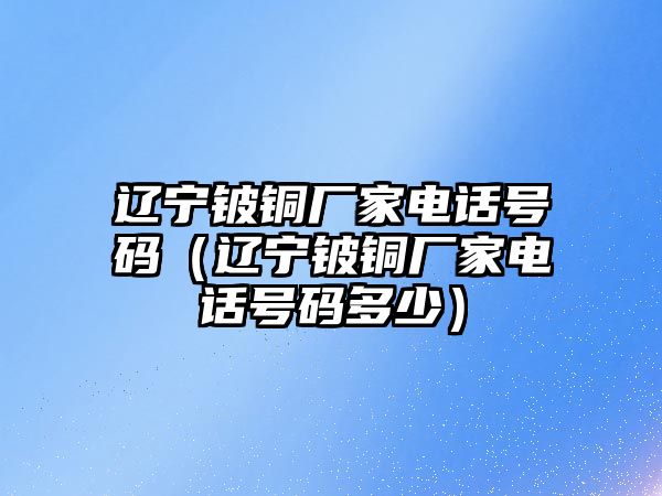 遼寧鈹銅廠家電話號碼（遼寧鈹銅廠家電話號碼多少）