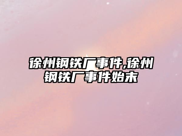 徐州鋼鐵廠事件,徐州鋼鐵廠事件始末