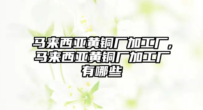 馬來西亞黃銅廠加工廠,馬來西亞黃銅廠加工廠有哪些