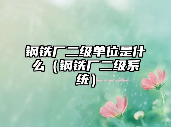 鋼鐵廠二級單位是什么（鋼鐵廠二級系統(tǒng)）