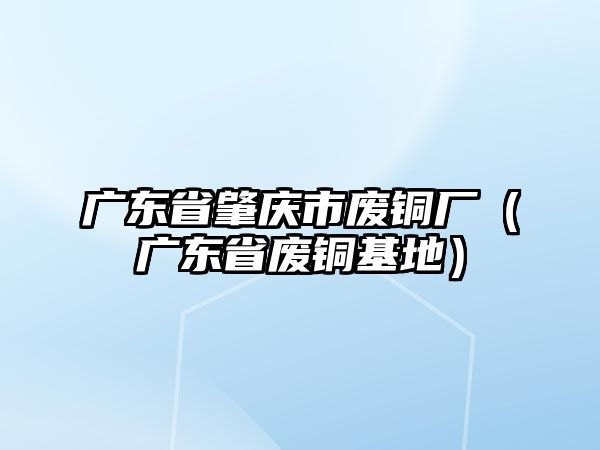 廣東省肇慶市廢銅廠（廣東省廢銅基地）