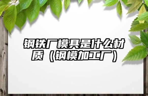 鋼鐵廠模具是什么材質(zhì)（鋼模加工廠）