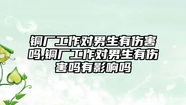 銅廠工作對男生有傷害嗎,銅廠工作對男生有傷害嗎有影響嗎