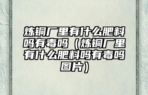 煉銅廠里有什么肥料嗎有毒嗎（煉銅廠里有什么肥料嗎有毒嗎圖片）