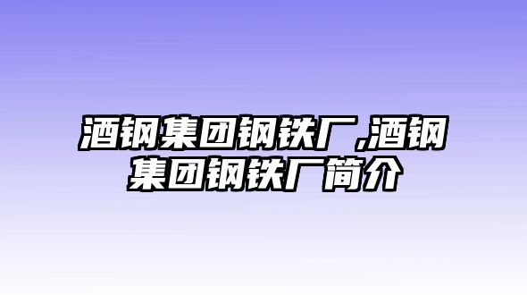 酒鋼集團(tuán)鋼鐵廠,酒鋼集團(tuán)鋼鐵廠簡介