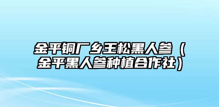 金平銅廠鄉(xiāng)王松黑人參（金平黑人參種植合作社）