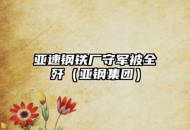 亞速鋼鐵廠守軍被全殲（亞鋼集團(tuán)）