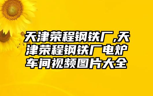 天津榮程鋼鐵廠,天津榮程鋼鐵廠電爐車間視頻圖片大全