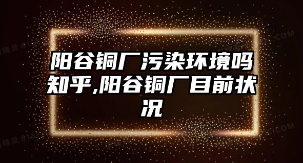 陽谷銅廠污染環(huán)境嗎知乎,陽谷銅廠目前狀況