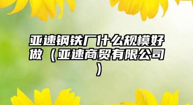 亞速鋼鐵廠什么規(guī)模好做（亞速商貿(mào)有限公司）