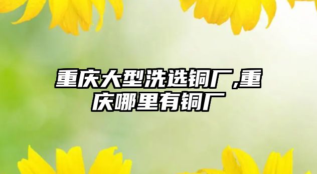 重慶大型洗選銅廠,重慶哪里有銅廠