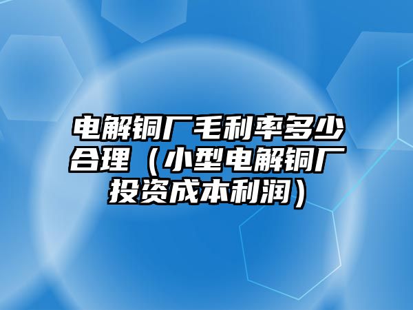 電解銅廠毛利率多少合理（小型電解銅廠投資成本利潤(rùn)）