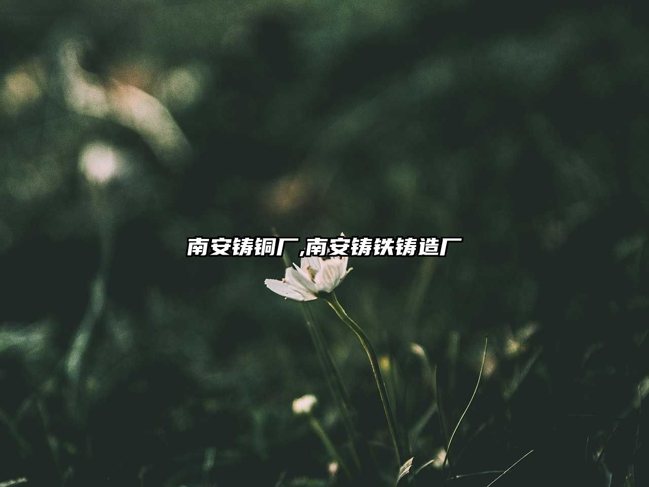 南安鑄銅廠(chǎng),南安鑄鐵鑄造廠(chǎng)