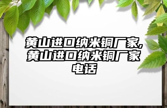 黃山進口納米銅廠家,黃山進口納米銅廠家電話