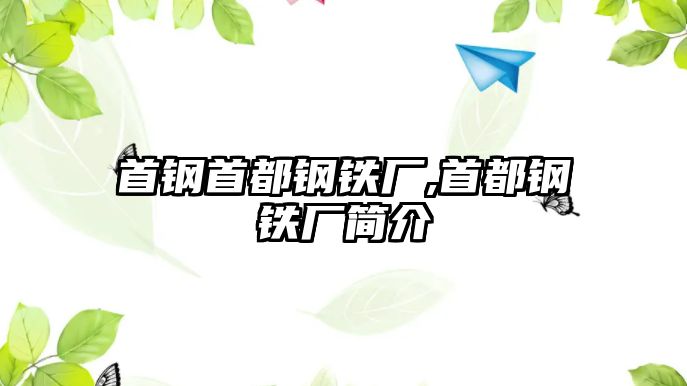 首鋼首都鋼鐵廠,首都鋼鐵廠簡(jiǎn)介