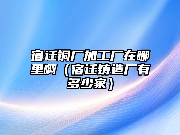 宿遷銅廠加工廠在哪里啊（宿遷鑄造廠有多少家）