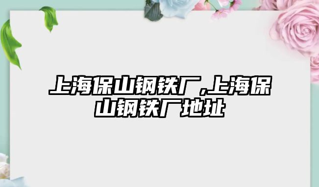 上海保山鋼鐵廠,上海保山鋼鐵廠地址