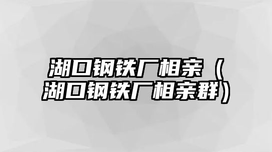 湖口鋼鐵廠相親（湖口鋼鐵廠相親群）