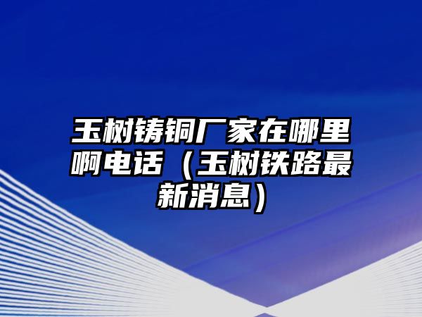 玉樹鑄銅廠家在哪里啊電話（玉樹鐵路最新消息）