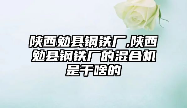 陜西勉縣鋼鐵廠,陜西勉縣鋼鐵廠的混合機(jī)是干啥的