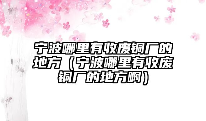 寧波哪里有收廢銅廠的地方（寧波哪里有收廢銅廠的地方?。? class=