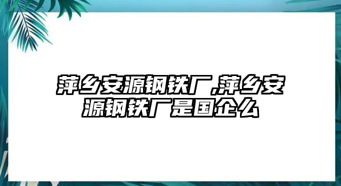 萍鄉(xiāng)安源鋼鐵廠,萍鄉(xiāng)安源鋼鐵廠是國企么