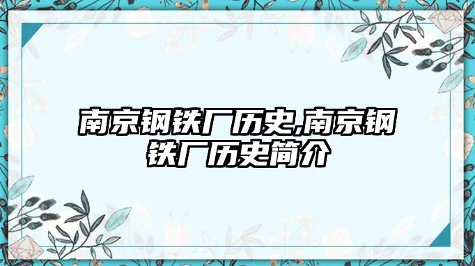 南京鋼鐵廠歷史,南京鋼鐵廠歷史簡介