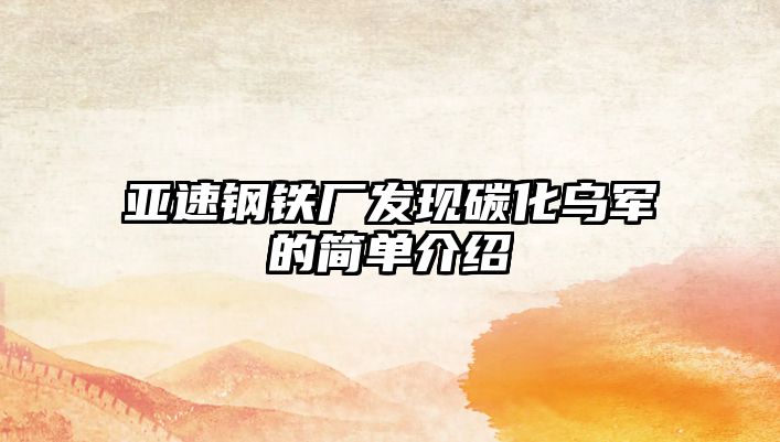 亞速鋼鐵廠發(fā)現(xiàn)碳化烏軍的簡單介紹