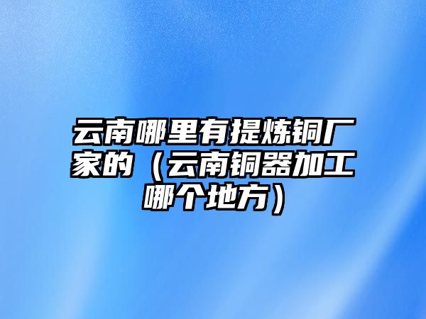 云南哪里有提煉銅廠家的（云南銅器加工哪個(gè)地方）