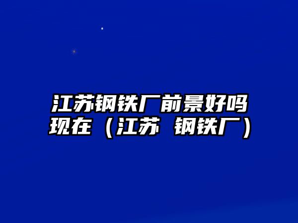 江蘇鋼鐵廠前景好嗎現(xiàn)在（江蘇 鋼鐵廠）