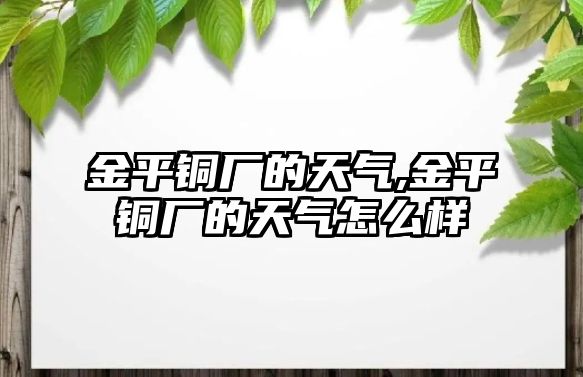 金平銅廠的天氣,金平銅廠的天氣怎么樣