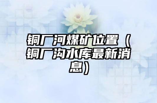 銅廠河煤礦位置（銅廠溝水庫最新消息）