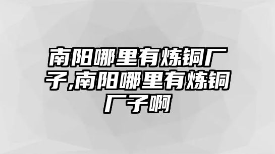 南陽哪里有煉銅廠子,南陽哪里有煉銅廠子啊