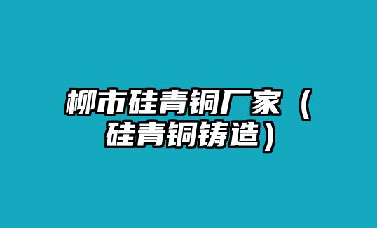 柳市硅青銅廠家（硅青銅鑄造）