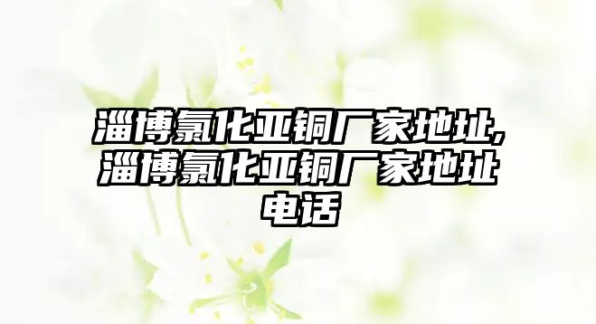 淄博氯化亞銅廠家地址,淄博氯化亞銅廠家地址電話