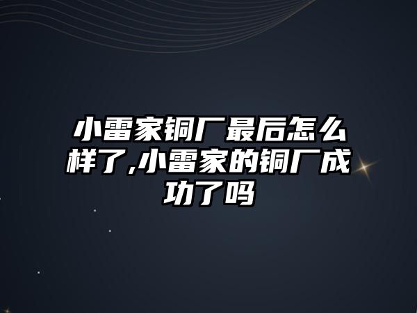 小雷家銅廠最后怎么樣了,小雷家的銅廠成功了嗎