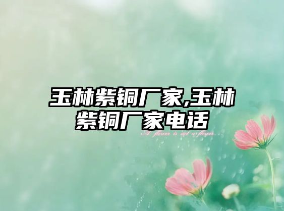 玉林紫銅廠(chǎng)家,玉林紫銅廠(chǎng)家電話(huà)