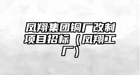 鳳翔集團銅廠改制項目招標（鳳翔工廠）