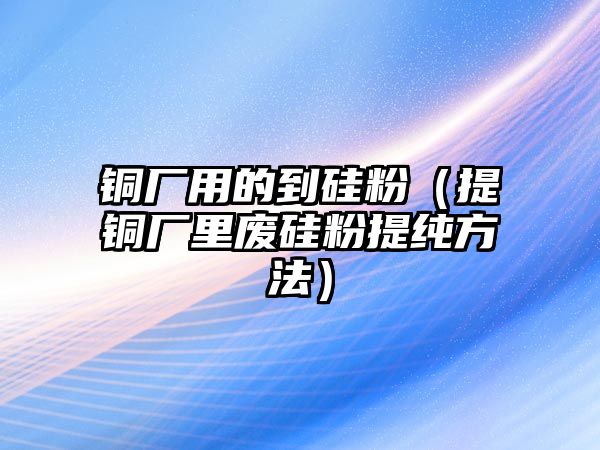 銅廠用的到硅粉（提銅廠里廢硅粉提純方法）