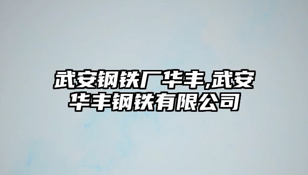 武安鋼鐵廠華豐,武安華豐鋼鐵有限公司