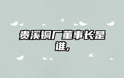 貴溪銅廠董事長(zhǎng)是誰(shuí),