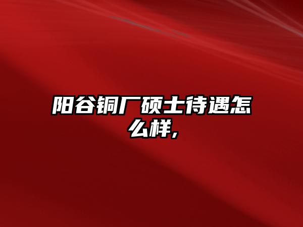 陽谷銅廠碩士待遇怎么樣,