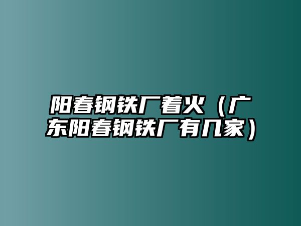 陽春鋼鐵廠著火（廣東陽春鋼鐵廠有幾家）