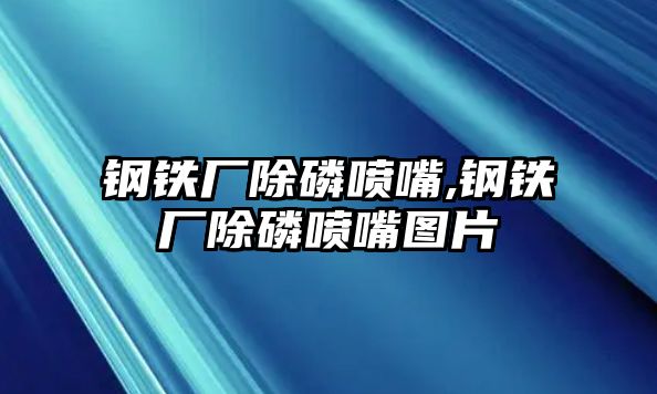 鋼鐵廠除磷噴嘴,鋼鐵廠除磷噴嘴圖片