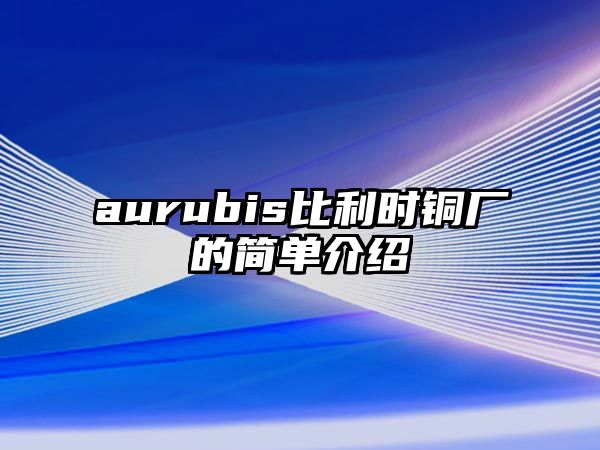 aurubis比利時(shí)銅廠的簡(jiǎn)單介紹