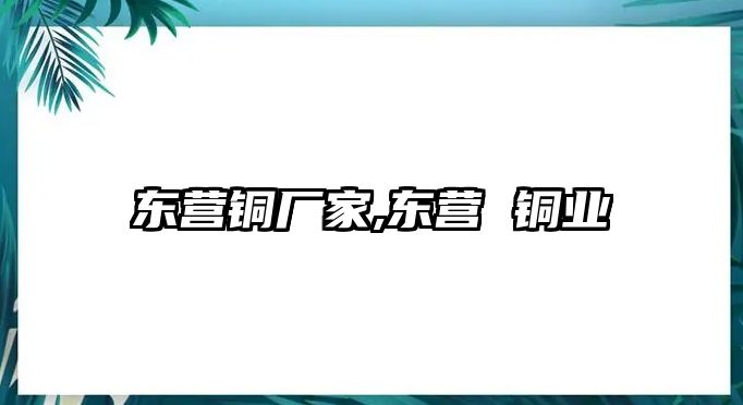 東營(yíng)銅廠家,東營(yíng) 銅業(yè)