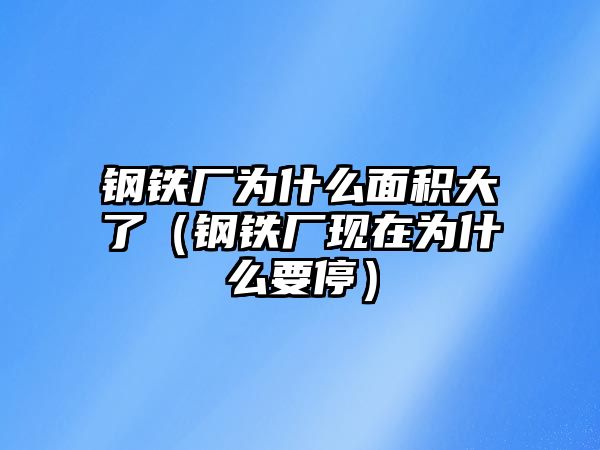 鋼鐵廠為什么面積大了（鋼鐵廠現(xiàn)在為什么要停）