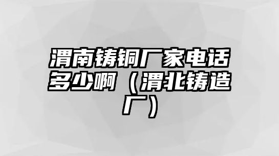 渭南鑄銅廠家電話多少?。ㄎ急辫T造廠）