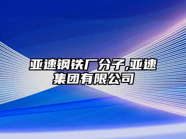 亞速鋼鐵廠分子,亞速集團(tuán)有限公司